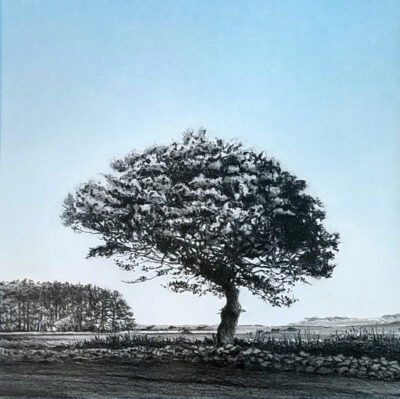 "Noir & bleu Hoëdic"