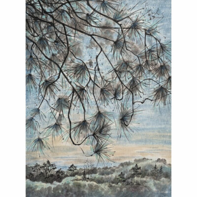 "P: Vue du Boël"