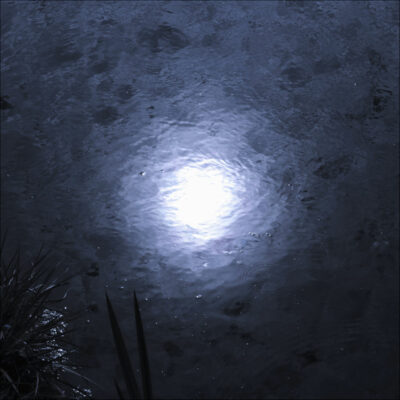 "Indigo night 24"