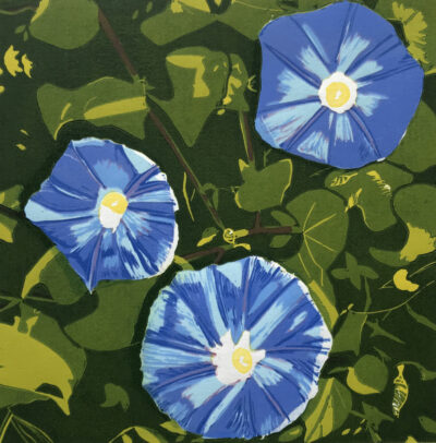 "Ipomée"