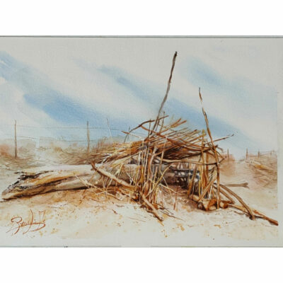 "La cabane de plage"