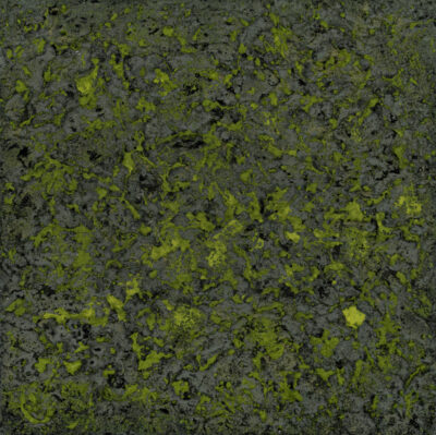 "Mossy Lava Field n° 2455"