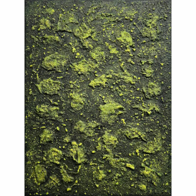 "Mossy Lava Field n° 2458"