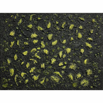 "Mossy Lava Field n° 2459"