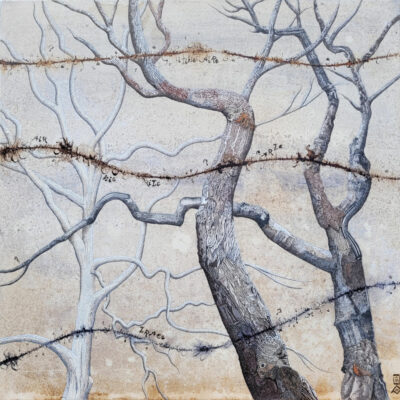 "Carte itinéraire (anagramme) Inertie air tracé"