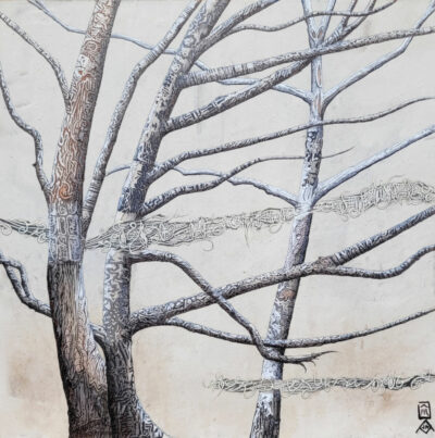 "Linodendron 5"