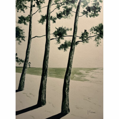 "Encre vert olive- Plage du Cap Coz"