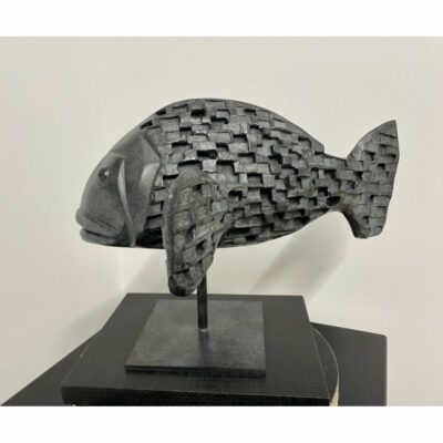 "Poisson denti version 1 asymétrique"