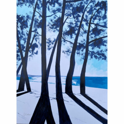 "Encre, 9h13 au Cap Coz"