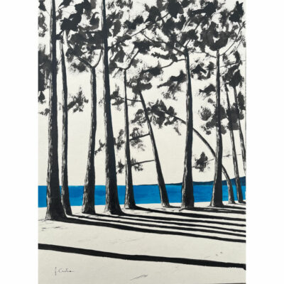 "Encre,  9h20 au Cap Coz"