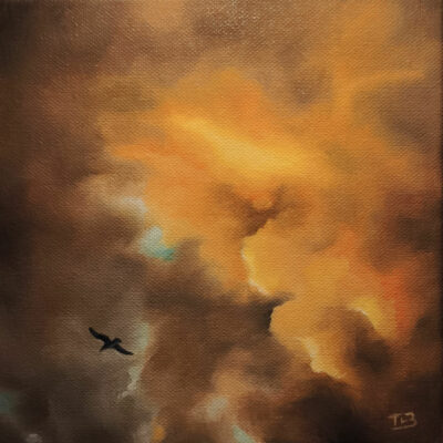 "Nuages en feu sur la côte sauvage "
