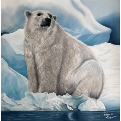 "A: Sentinelle des Glaces"
