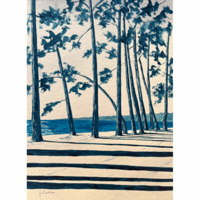 "Encre bleu de Chine, avenue du Cap Coz"