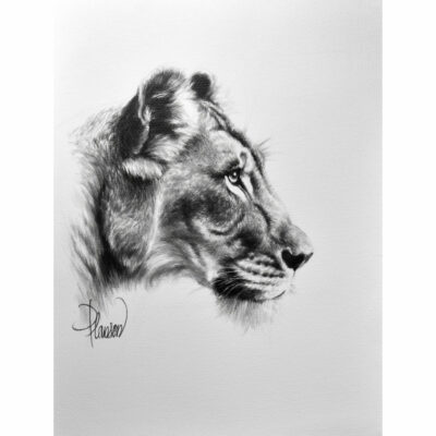 "Animalier: Aria"