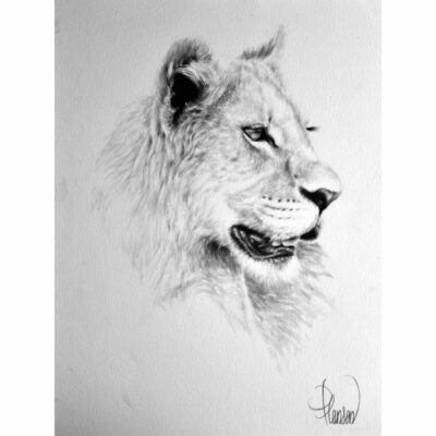 "Animalier: Benroy"