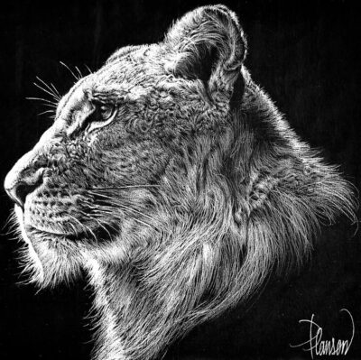 "Animalier: Castaleone"