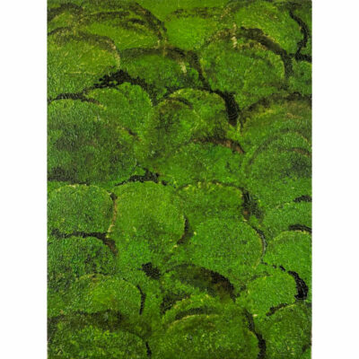 "Green Moss Art no. 2537"