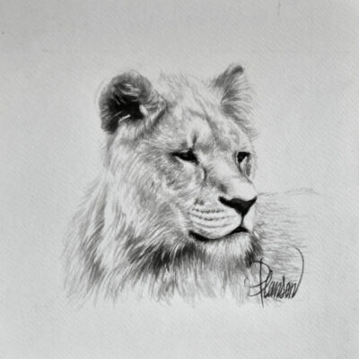 "Animalier: Hlane"