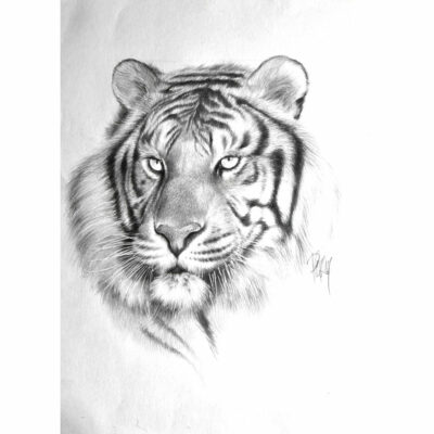 "Animalier: Kerinci"
