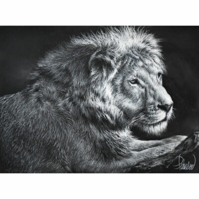 "Animalier: Kruger"