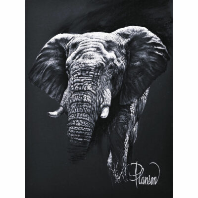 "Animalier: Letaba"
