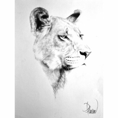 "Animalier: Llewella"