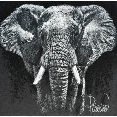 "Animalier: Mopani"