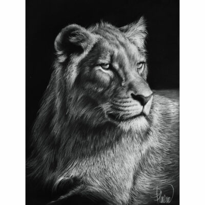 "Animalier: Shukuza"