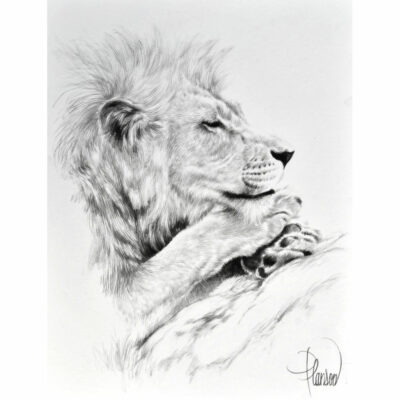 "Animalier: Sweni"