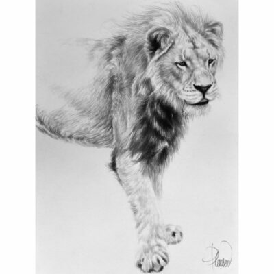 "Animalier: Timbavati"
