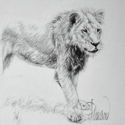 "Animalier: Timbavati.2"