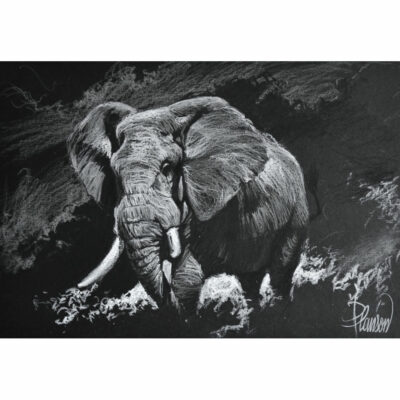 "Animalier: Tusker"