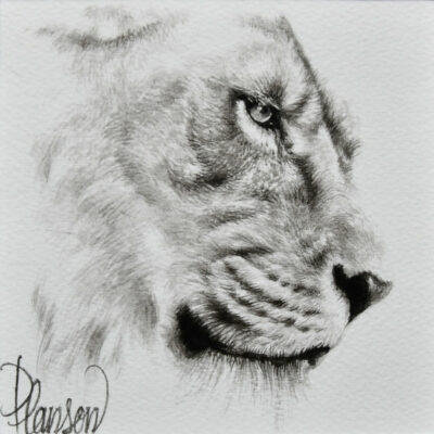 "Animalier: Zariel 2"