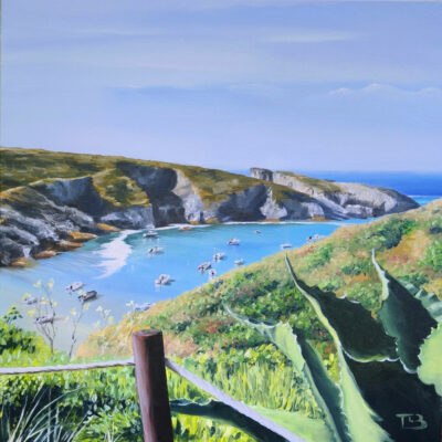"Port Goulphar vu de Castel Clara"