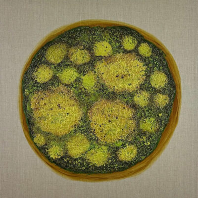 "Round Mossy Art no. 2543"