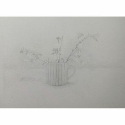 "Fleurs de jardin 2"