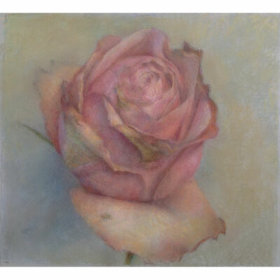 "Rose (Détail)"