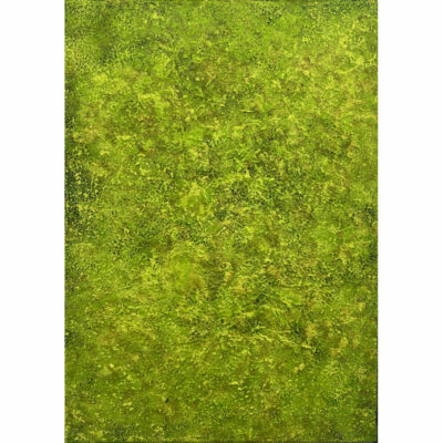 "Green Moss Art no. 2553"