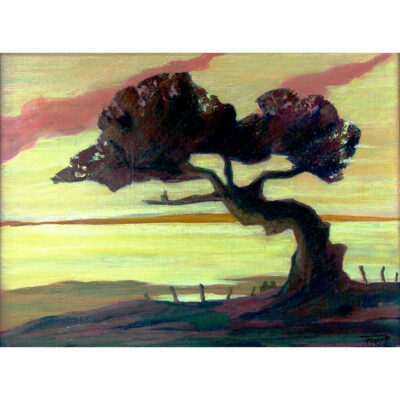 "Balade en Couleurs IV"