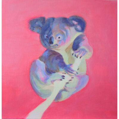 "Koala"