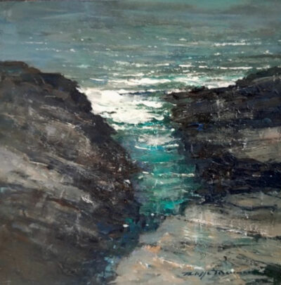 "La côte sauvage N° 2533"