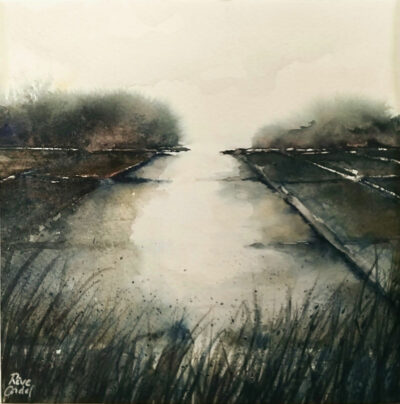 "Les marais salants"