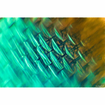 "Abstract FK2A0077B"