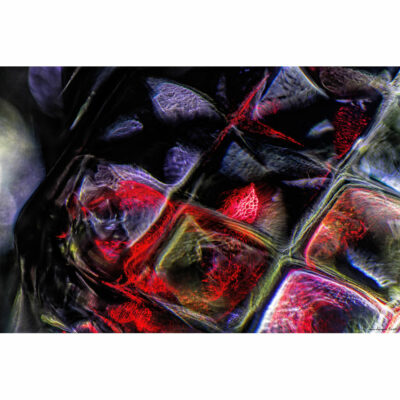 "Abstract FK2A0116C"