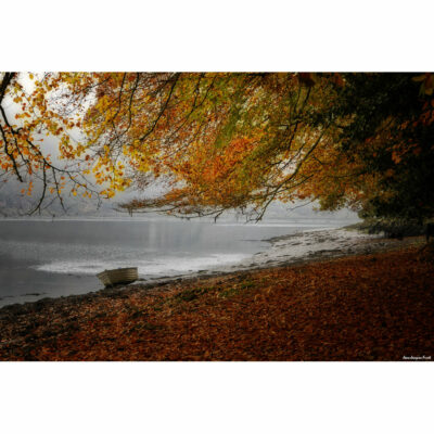 "Paysages: Automne à la Roche-Jagu"