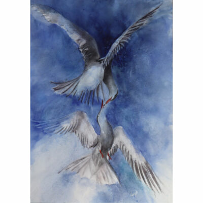 "Le baiser des sternes II"