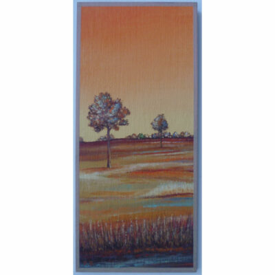 "Coup d'œil n°113"