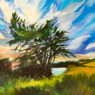 "Chemin côtier en bord de mer"