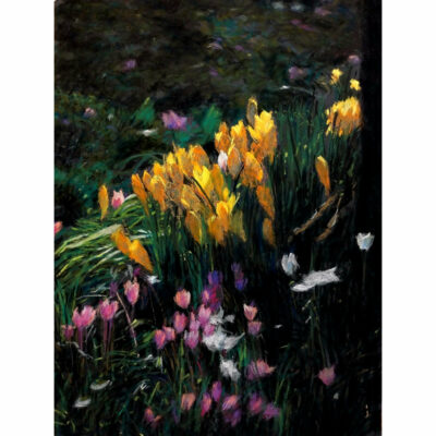 "Crocus et cyclamen"