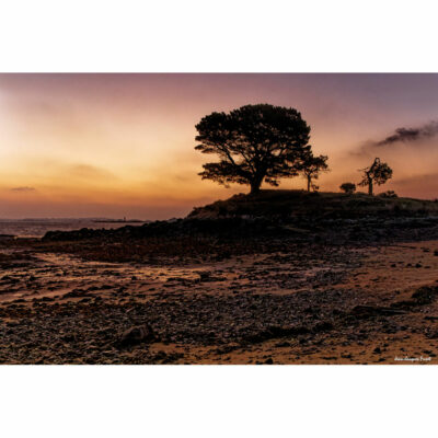 "Paysages: Le jour se lève à Lanmodez"